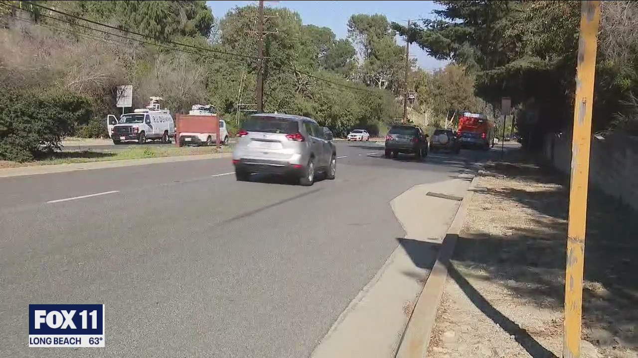 LA County Supervisor Janice Hahn orders safety review of road where Tiger Woods crashed car