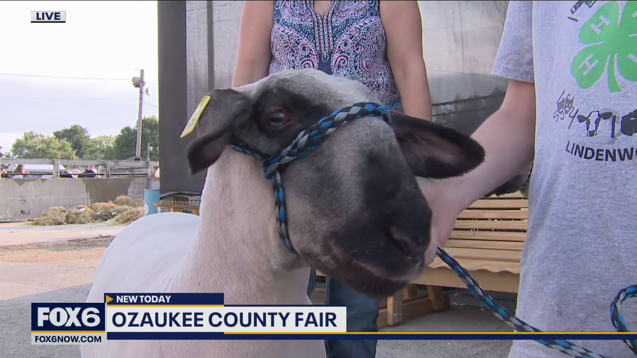 If you’re at a county fair in Wisconsin you can guarantee that animals will be a big part of the fun