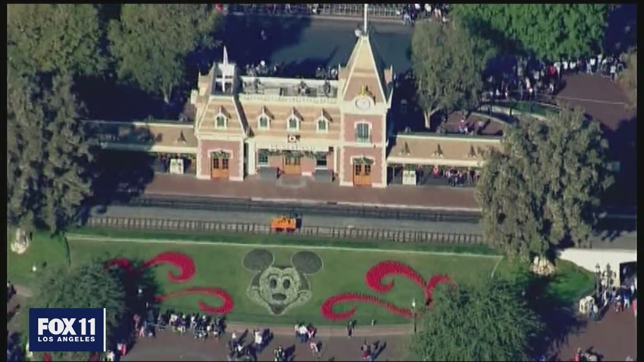 Some think Disneyland should not reopen