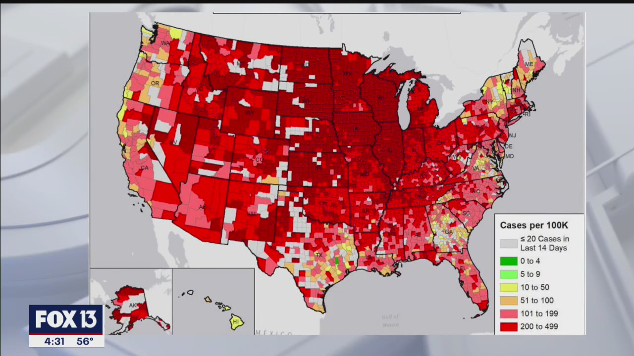 Putting Florida's COVID-19 cases in context