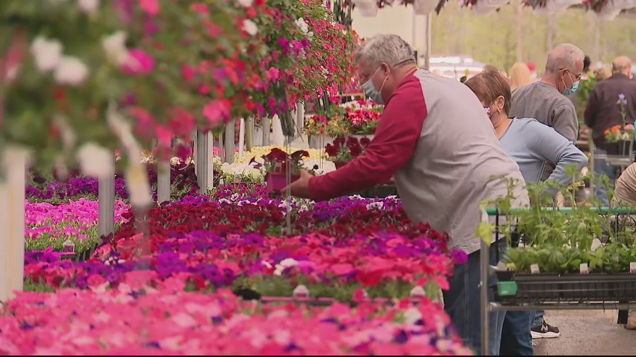 Just before Mother's Day, it is prime time for plant and flower shopping