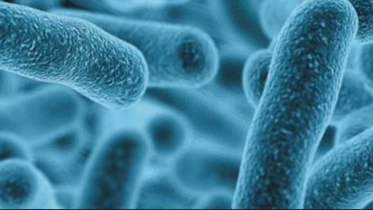 Beaumont doctor explains why cases of Legionnaires' disease are rising in Michigan
