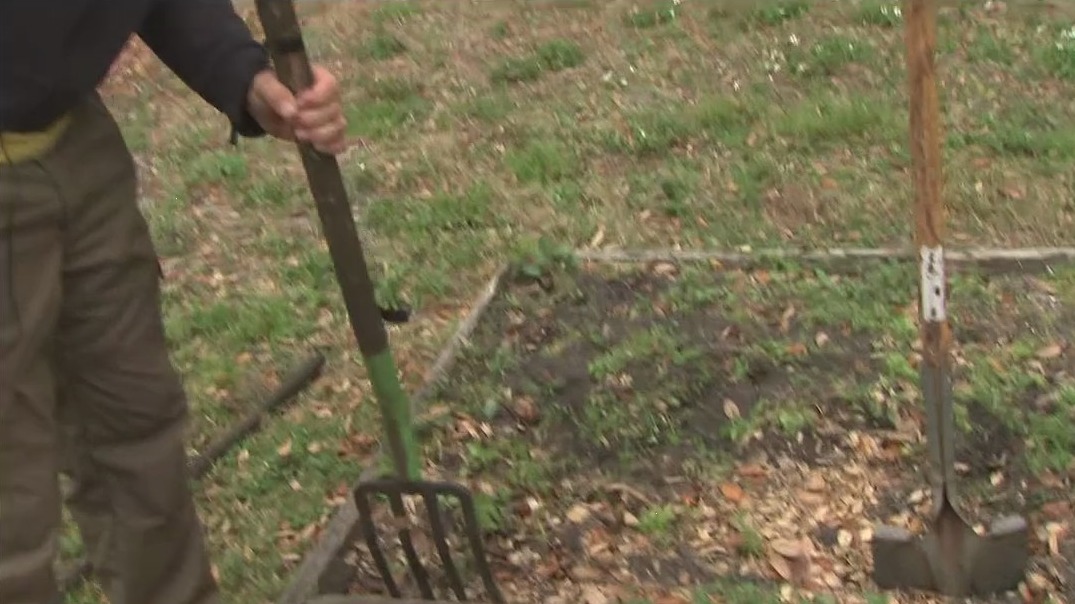 Now is the time to plant your spring crops