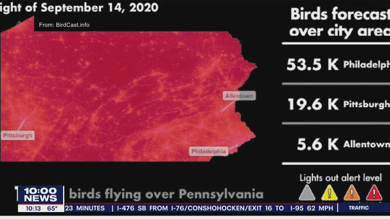 Thousands of birds to fly over Philly Monday night