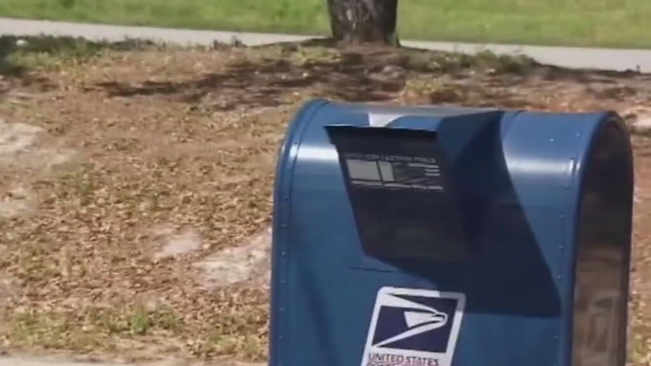 FOX 7 Discussion: Mail-in voting