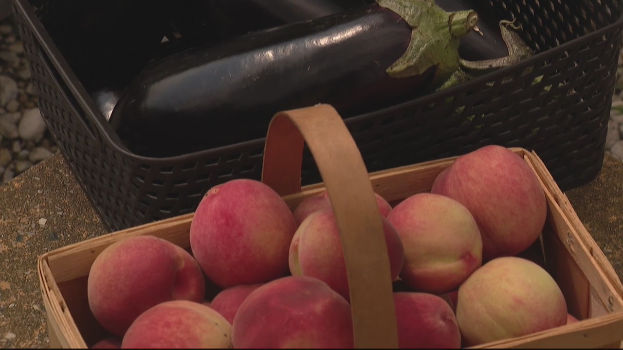 Nighttime farmer's market comes to Hazel Park