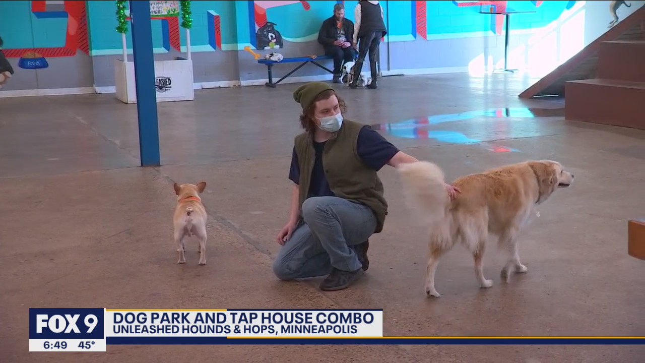 Minnesota’s first tap house, dog park combo celebrates one year
