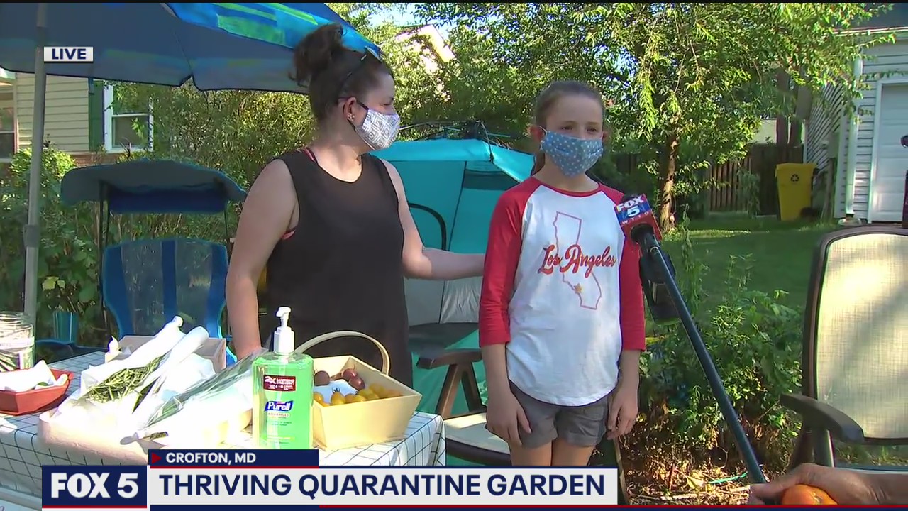 Thriving quarantine garden