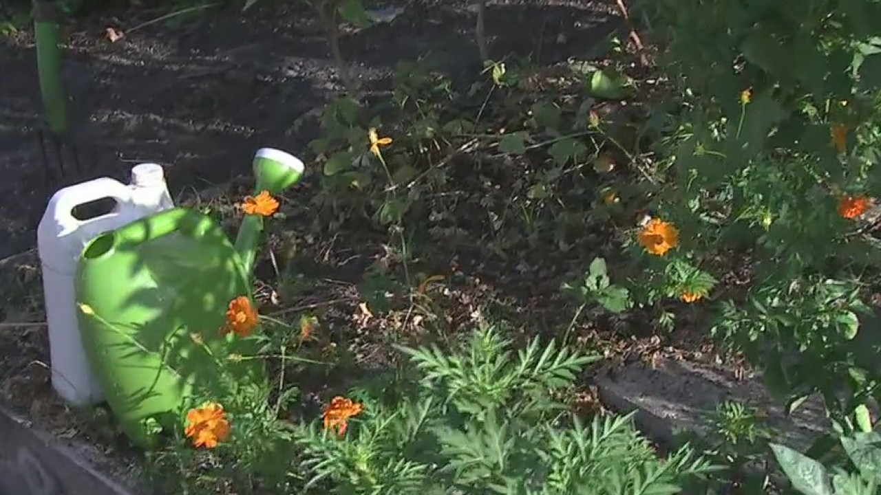 It's time to continue prepping your garden for the fall