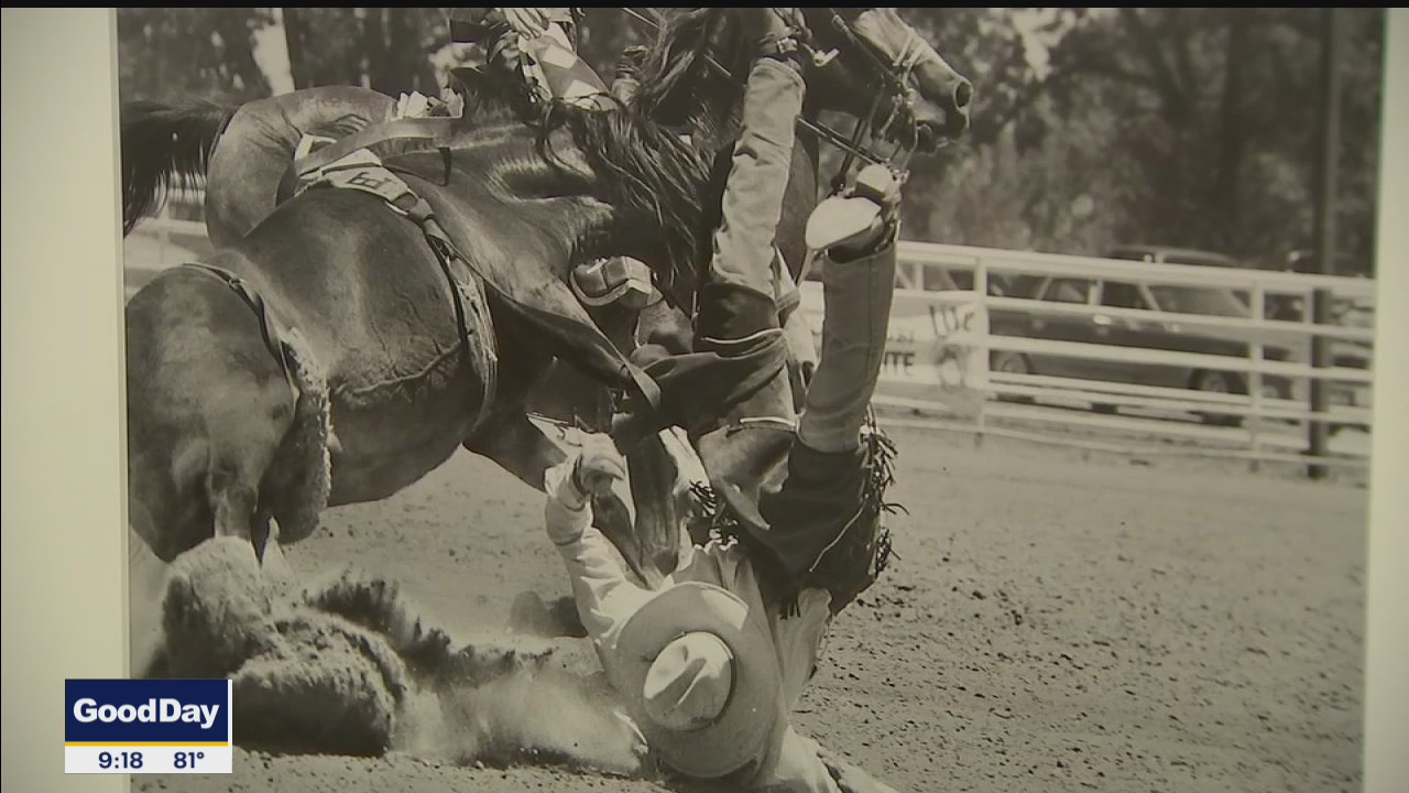 Photos from gay rodeo on display