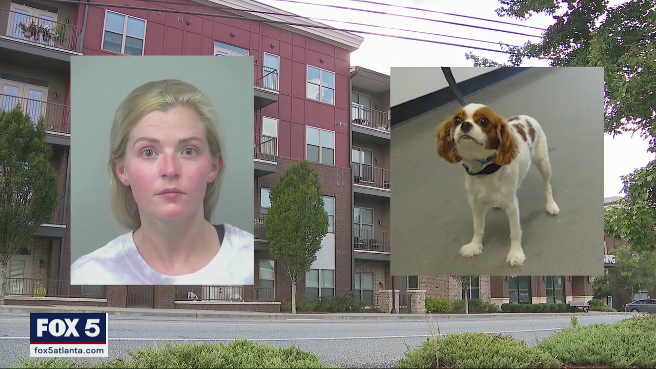 Video appears to show woman slam dog into wall