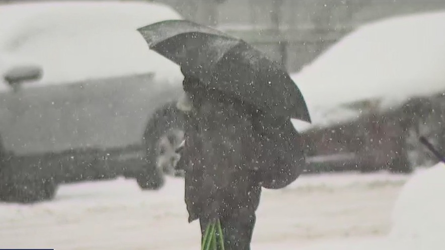 Debating the merits of snow