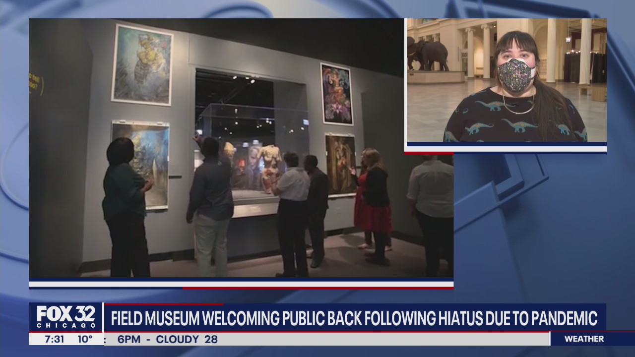 Field Museum welcomes back public following hiatus due to pandemic