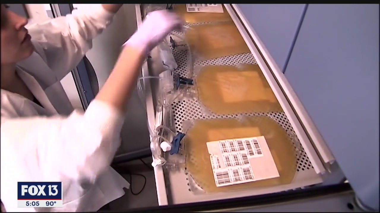 Survivors asked to donate plasma