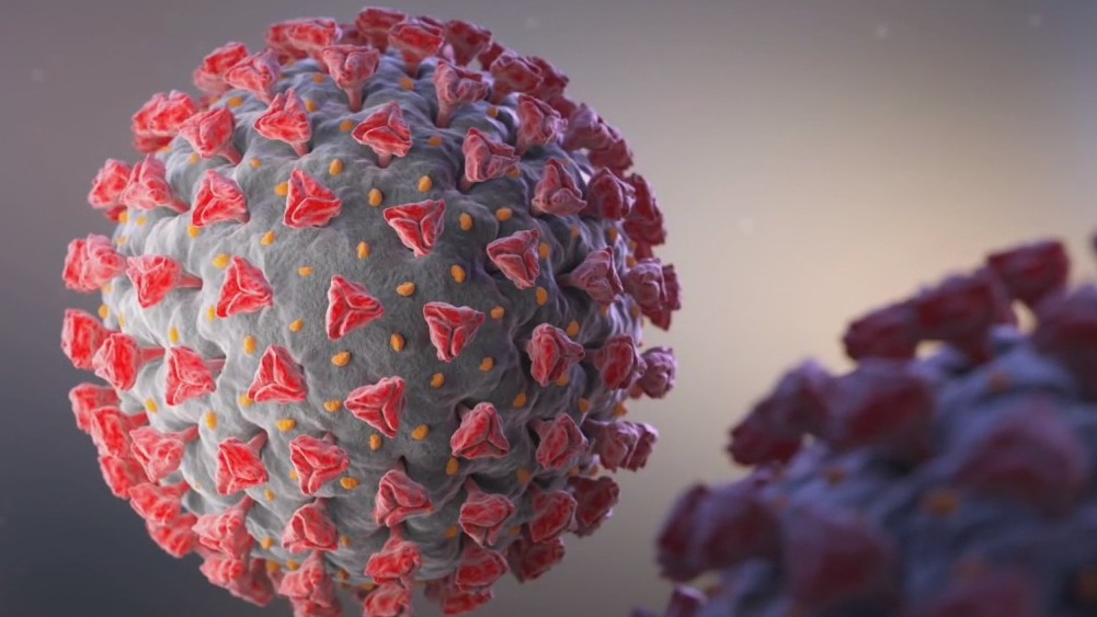 COVID-19 variant cause for concern in Wayne County