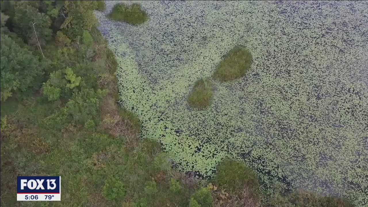 Family devastated after teen's body found in swamp