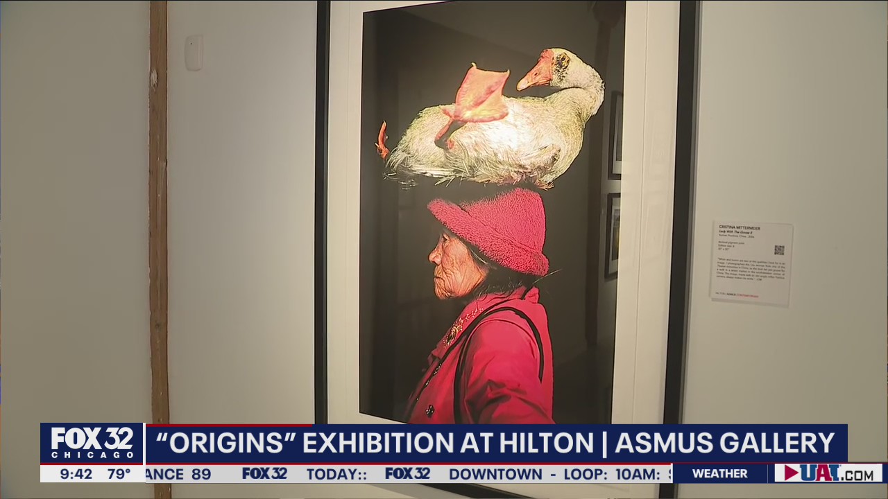Renowned conservation photographers featured in 'ORIGINS' exhibition at Hilton | Asmus Contemporary