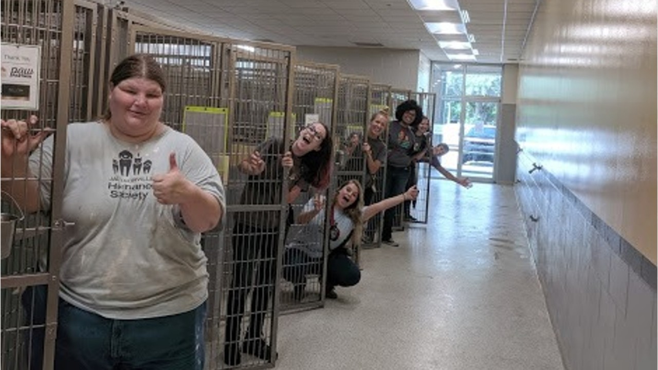 Florida humane society celebrates empty cages after community rushes to aid of shelter animals