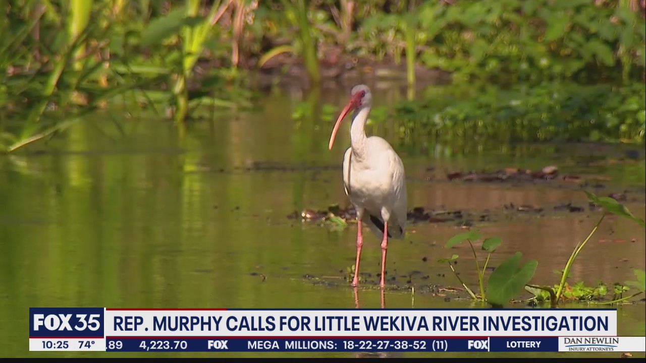 Florida Congresswoman calls for federal investigation into problems at Little Wekiva River
