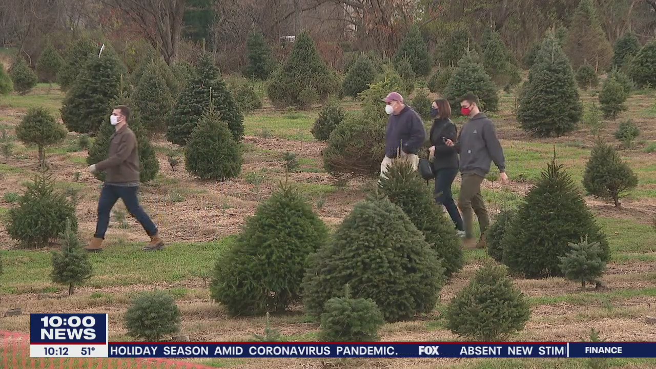 Bucks County residents flock to get Christmas trees