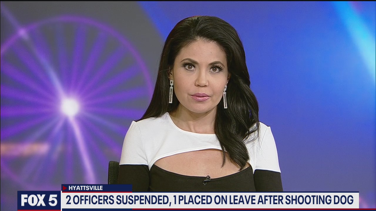 Police officers suspended, placed on leave after shooting, tasing dog