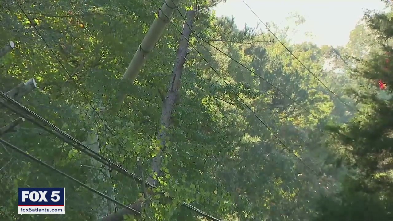 Hundreds of downed trees