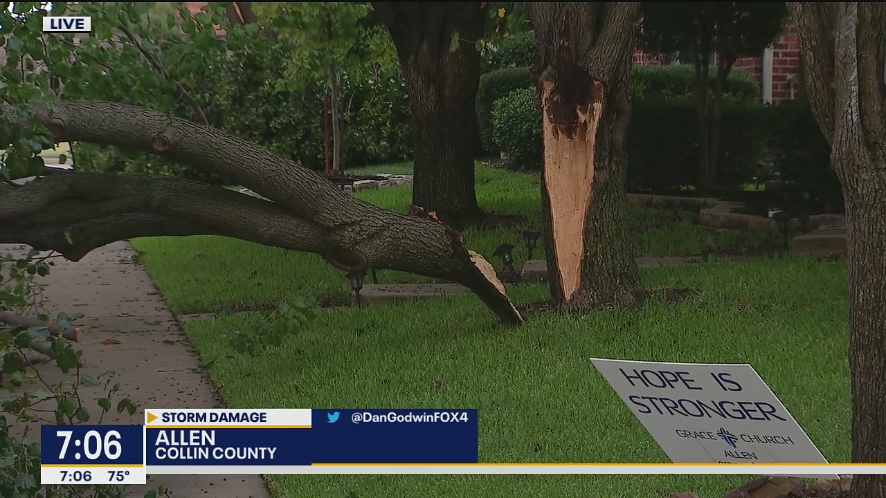 Severe storms, high winds bring down trees in Allen