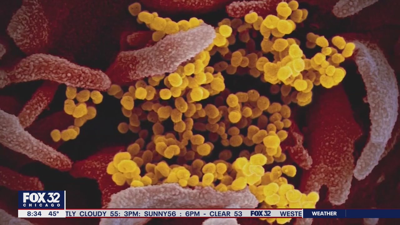 Rapid spread of COVID variants fuels the race to vaccinate