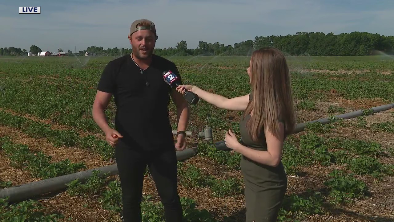 Blake's Orchard & Cider Mill celebrating 75 years of cider and donuts