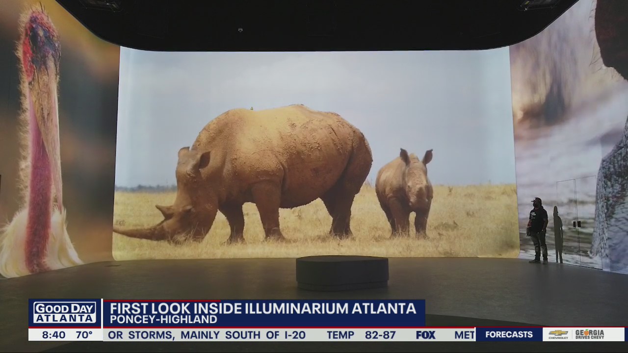 First look inside Illuminarium Atlanta