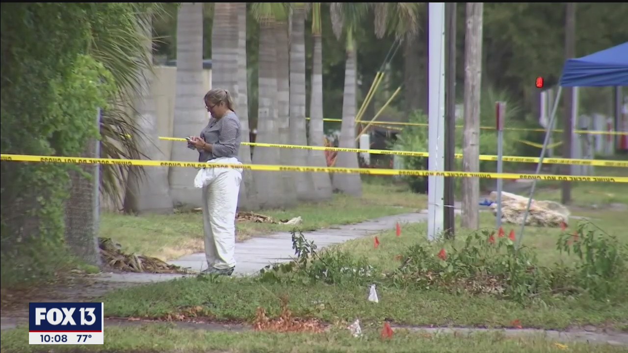 Severed head found by jogger identified as 80-year-old man