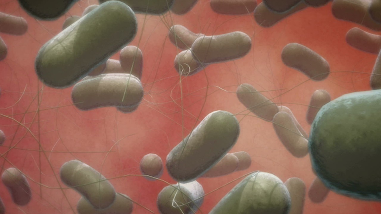 CDC warns of drug-resistant salmonella strain