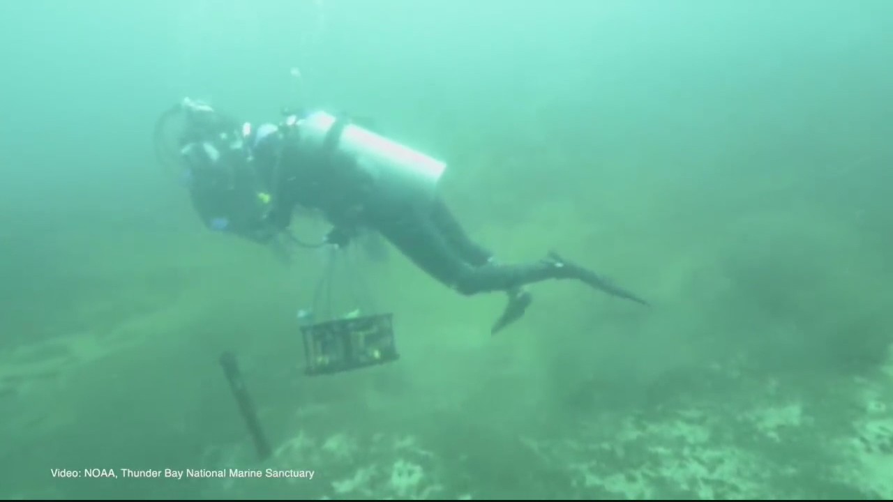 Lake Huron sinkhole shows secrets of how life evolved on earth