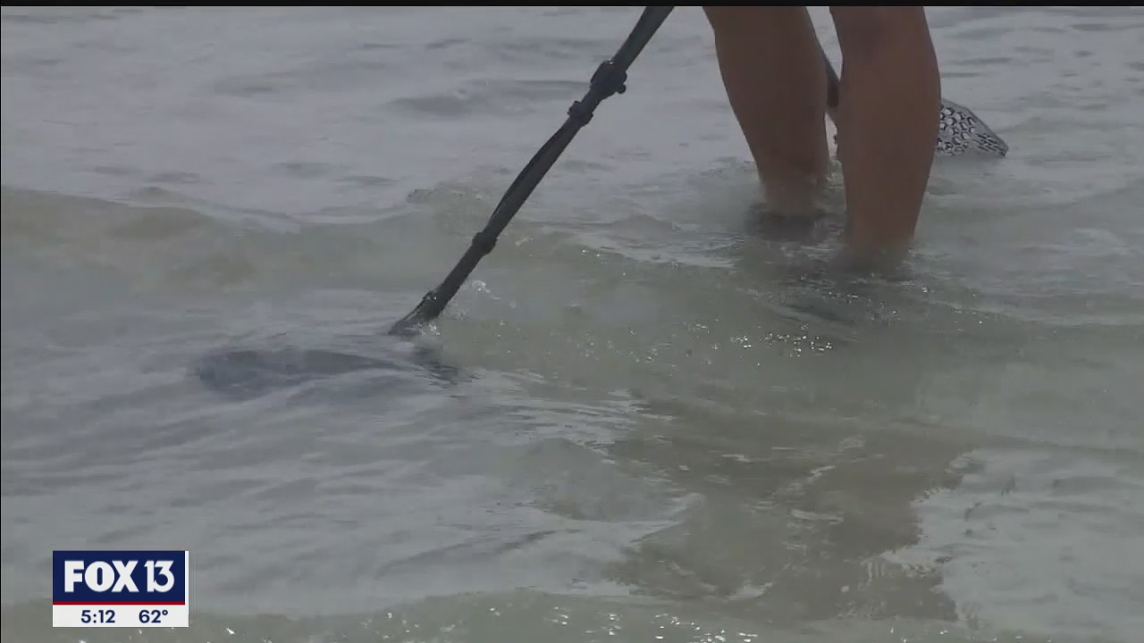 Metal detecting heroes find lost wedding band