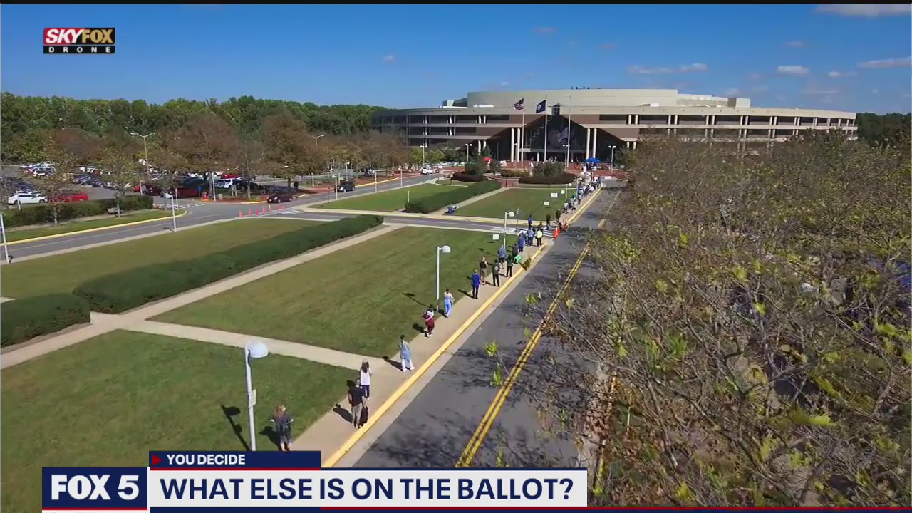What else is on the ballot?