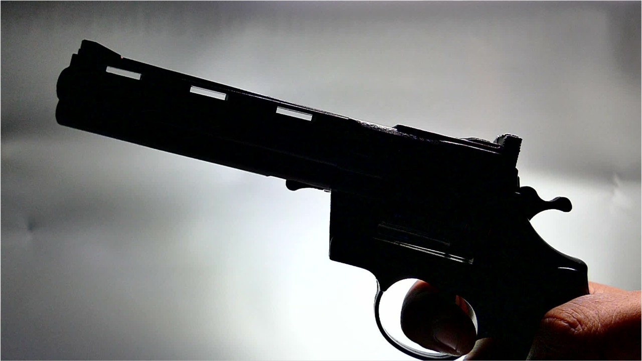 Florida man accidentally shoots, kills son-in-law amid birthday surprise