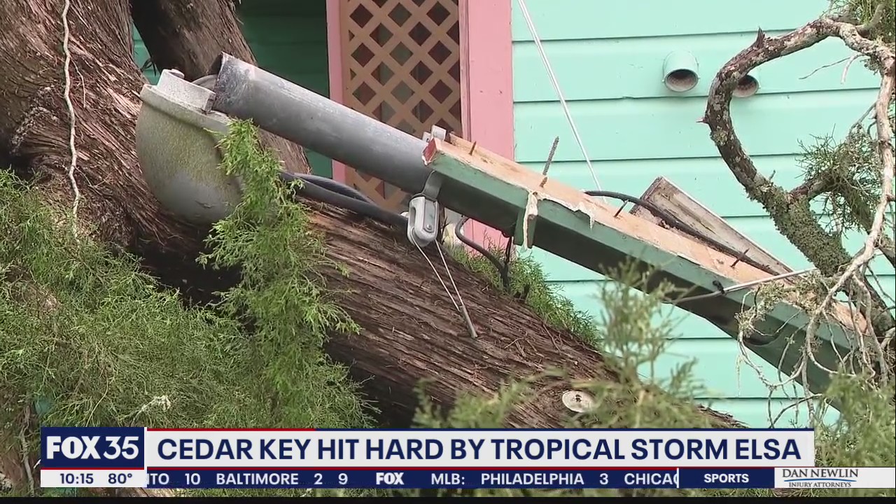 B&B damaged by falling tree in Cedar Key