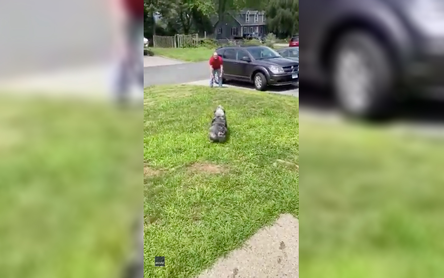 Dog can’t contain excitement when owner returns from 7-month US Navy deployment