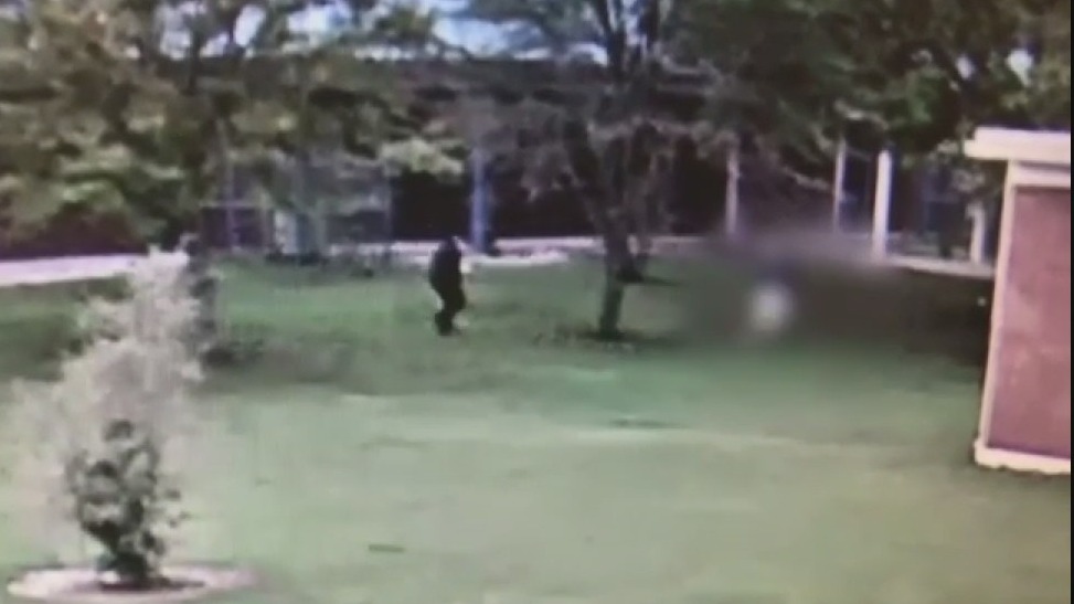 Video shows substitute teacher allegedly assaulting student