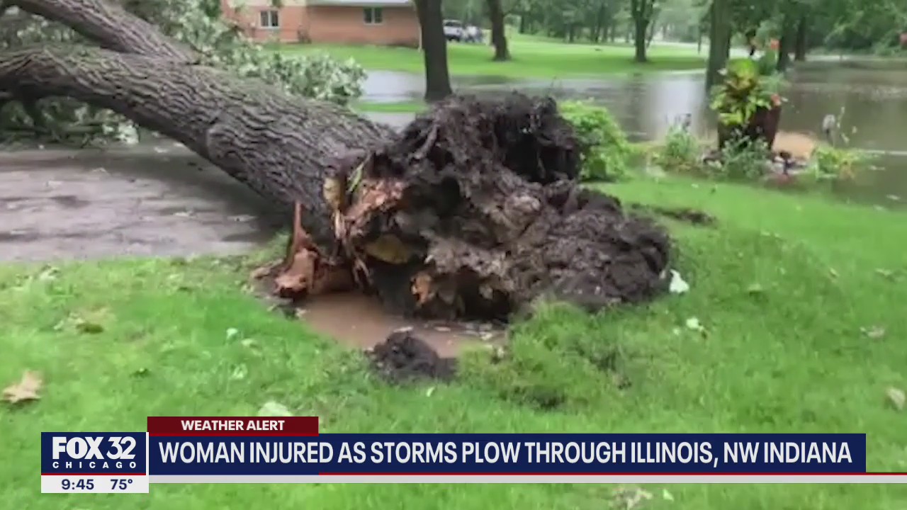 Woman injured by falling tree as storms plow through Indiana and Illinois