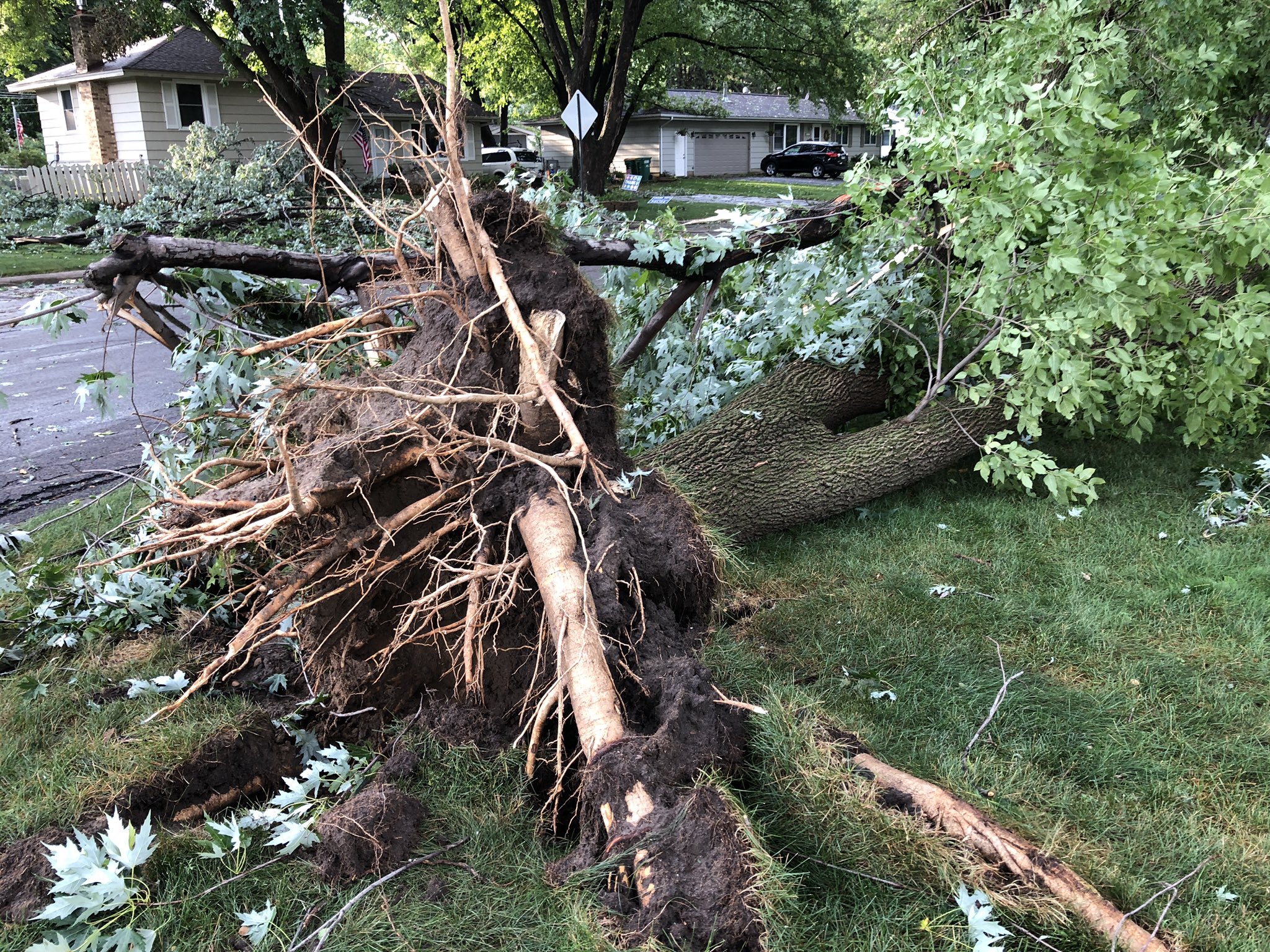 Trees down, blocking roads in Bloomington, Minnesota after overnight storms