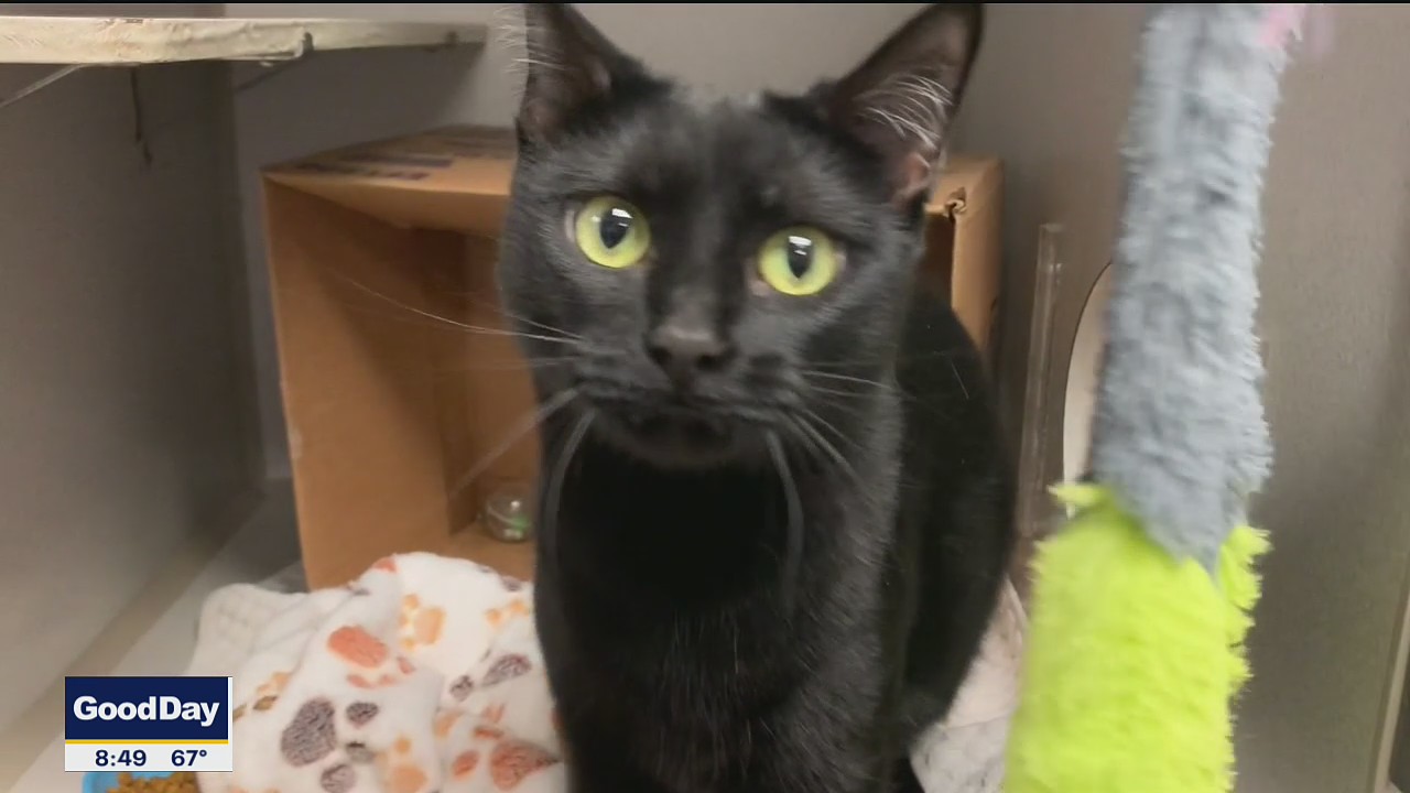 Pet of the Day: Kaa