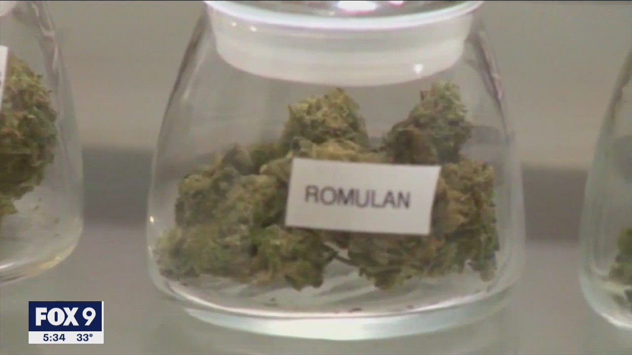 Minnesota lawmakers to consider marijuana legalization as legislative session enters its final weeks