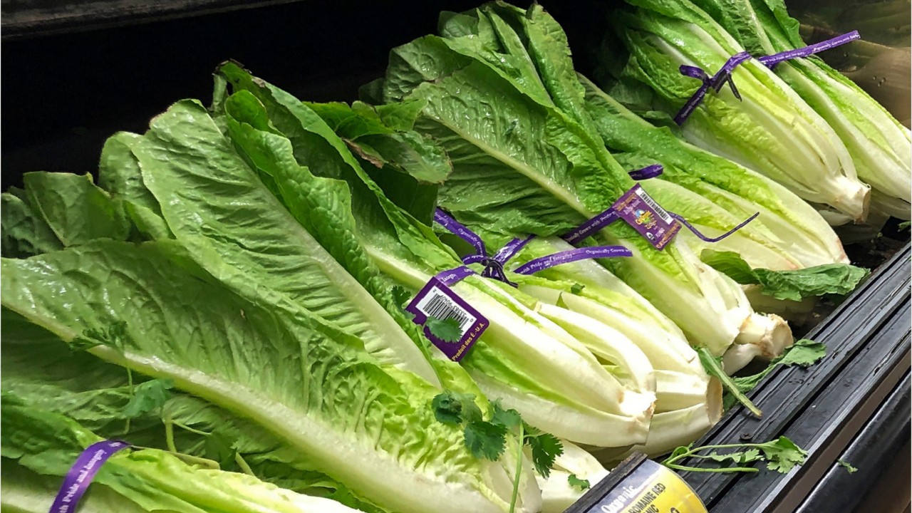 Nearly 100K pounds of salad products recalled because of possible E. coli contamination