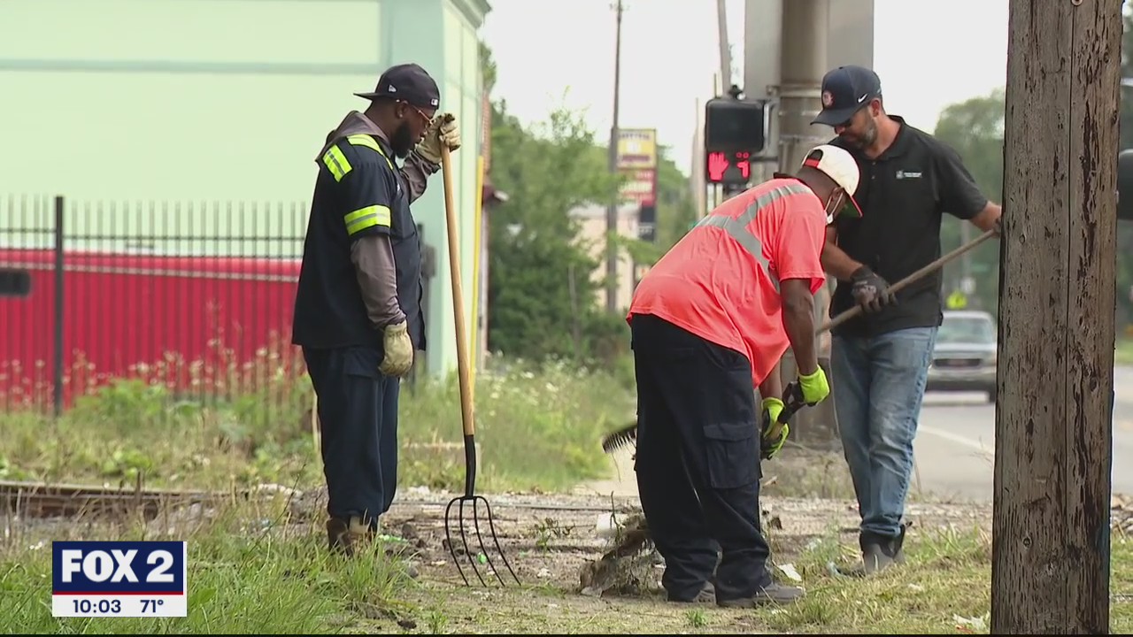 City of Detroit behind on clearing grass, trimming back trees due to rainy weather