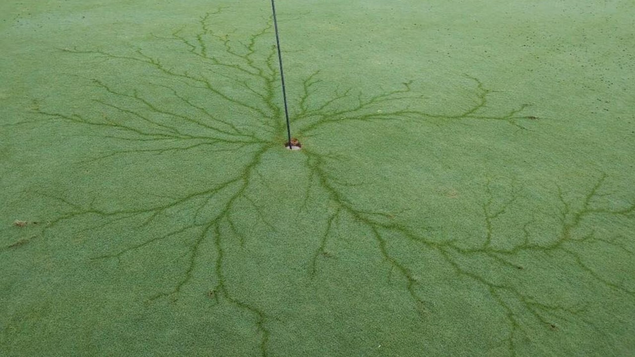 Lightning strikes flagstick at hole 7 on North Carolina golf club