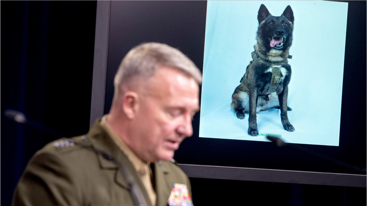 Trump says military dog in Baghdadi raid will visit White House