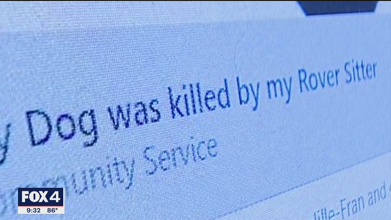 On Your Side: Dog owner warns about hiring sitters through popular pet-sitting app