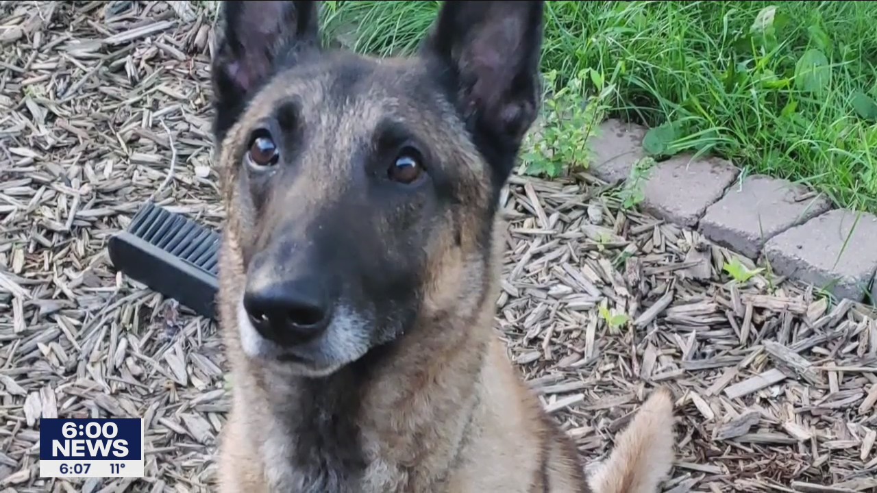 Family fights to keep K-9 with retired Corcoran Police officer