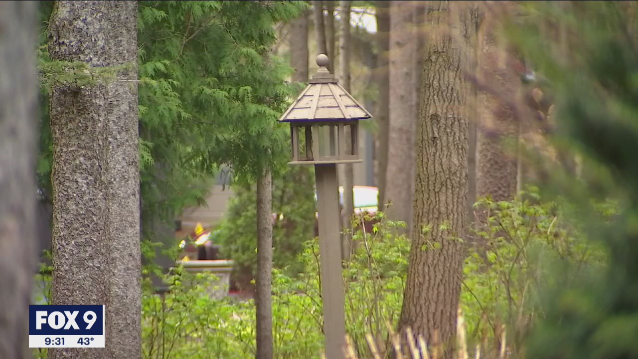 Woodbury residents spot bear